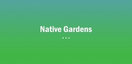Native Garden | Invermay Gardeners and Landscapers invermay
